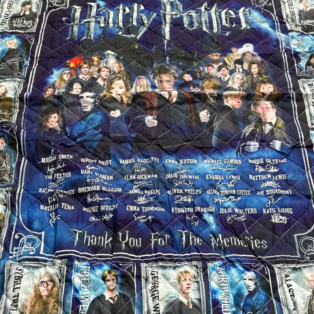 Hogwarts Blue Velvet Pillow & Comforter